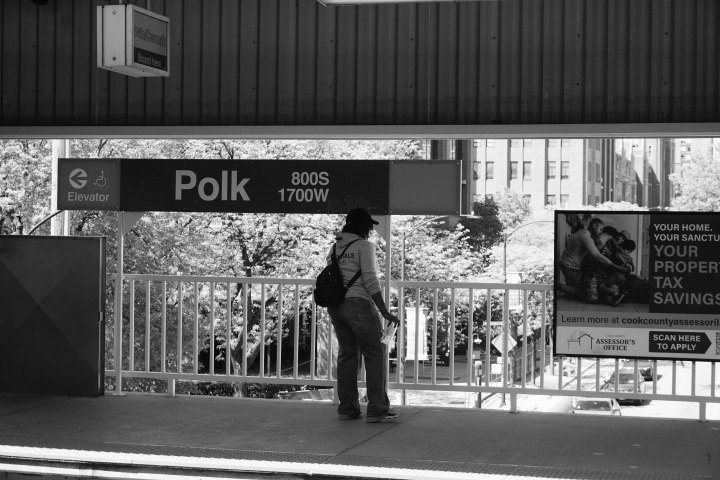 Polk