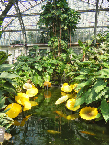 Tropical