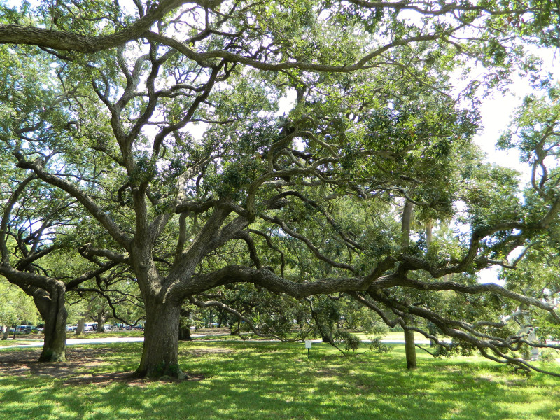 White Point Garden