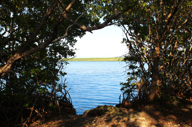 Black Point